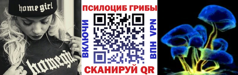 как найти   Каргат  Псилоцибиновые грибы Psilocybine cubensis 